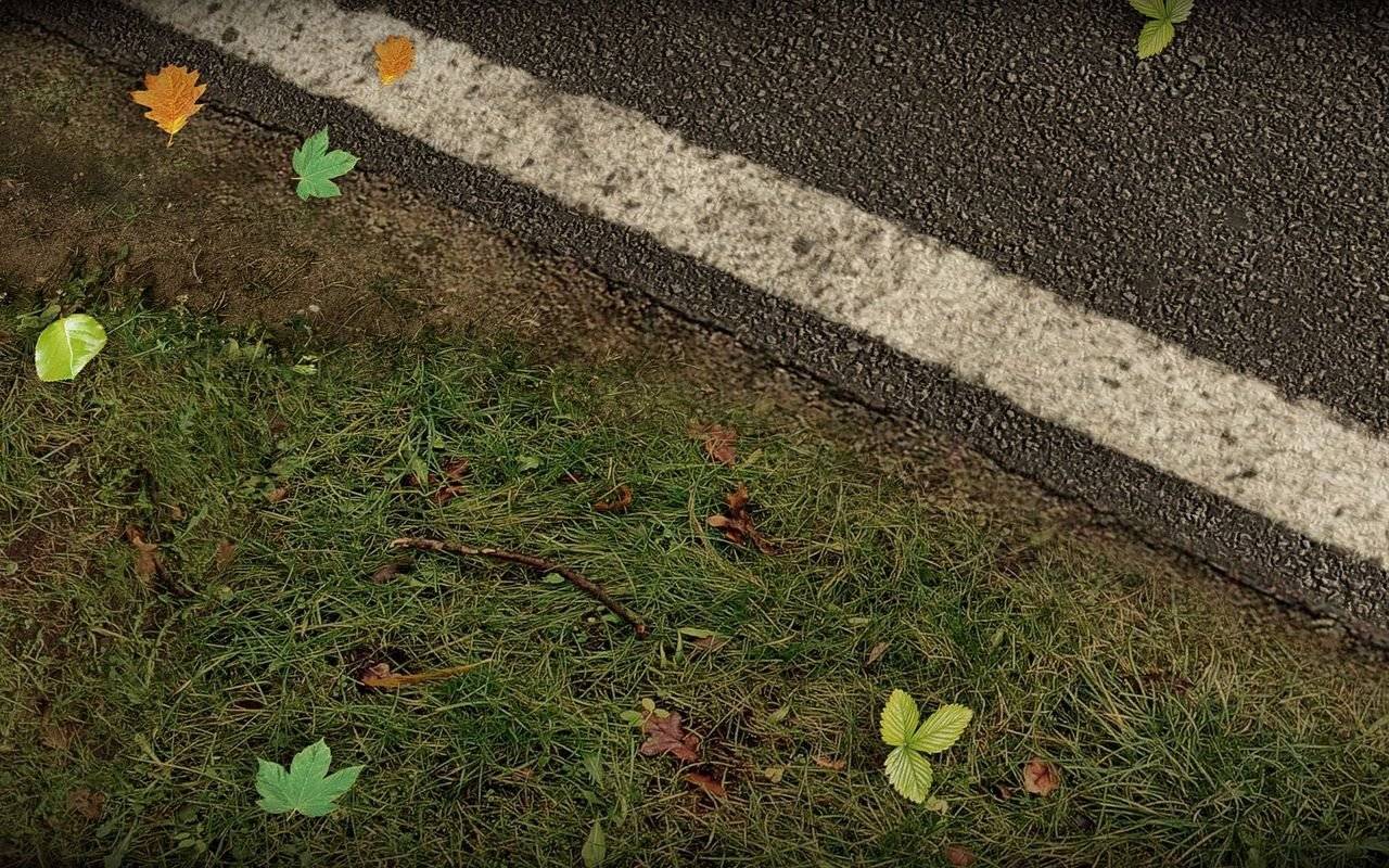 Project Cars - Imagen 45